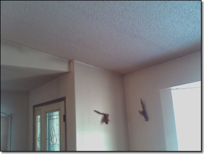 Soot Inside Home 2 Soot Inside Home 2